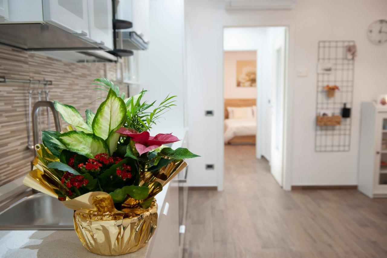 Sungarda Apartment มอนซามบาโน ภายนอก รูปภาพ